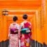 Puertas Torri, Santuario Fushimi Inari, Kioto
