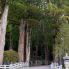 Entrada Koyasan