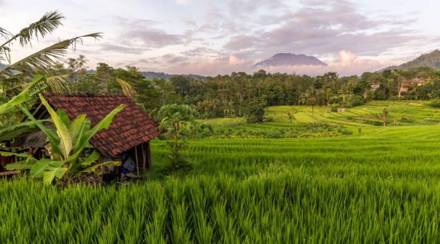Risale di Bali 