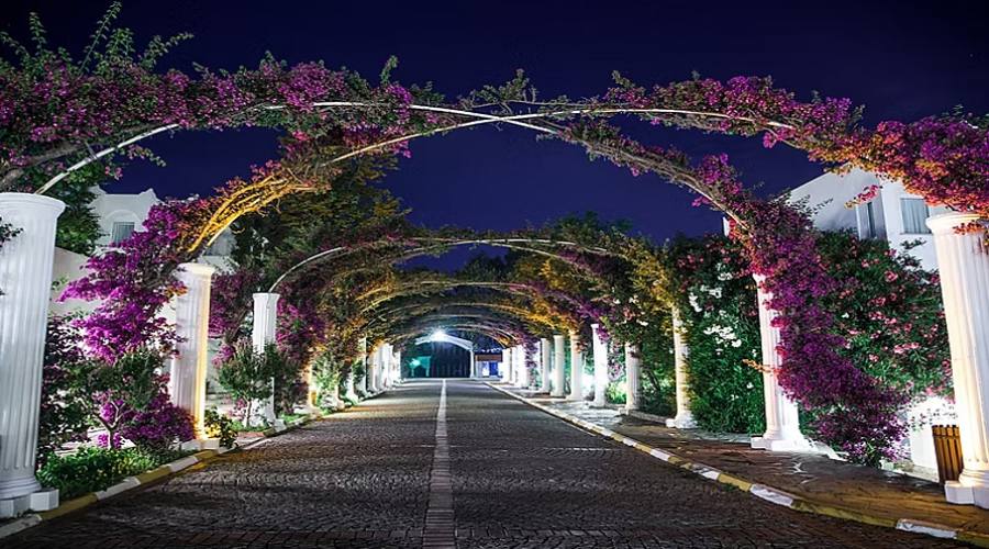 Giardino dell'hotel 