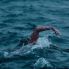 Nuoto in acque libere
