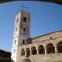 Ardenica