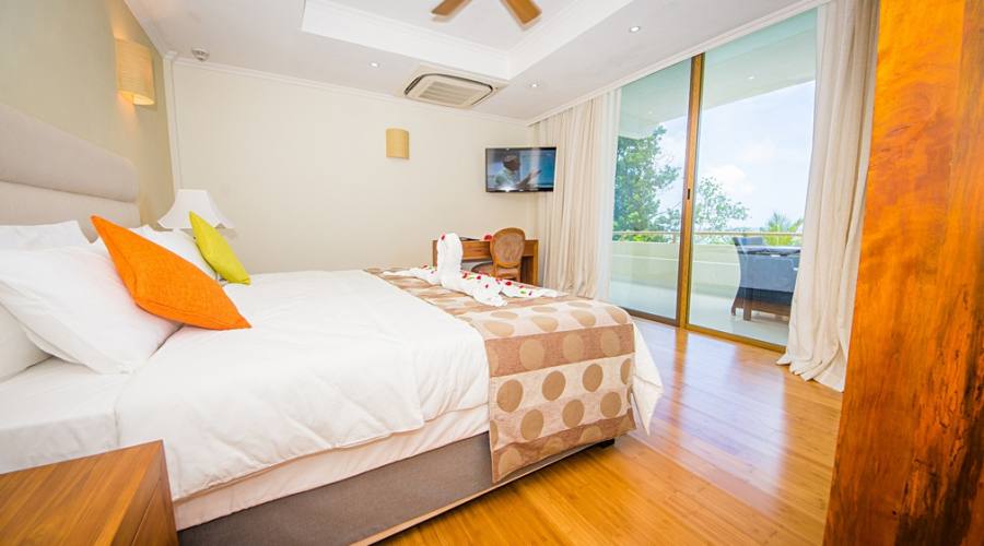 Junior Suite Mountain View