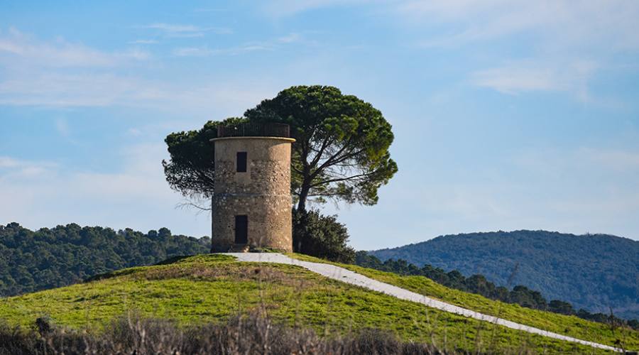 Mulino del Cardellino
