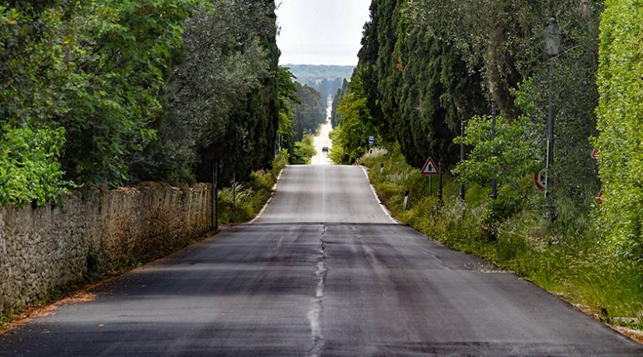 Il viale dei cipressi del Carducci