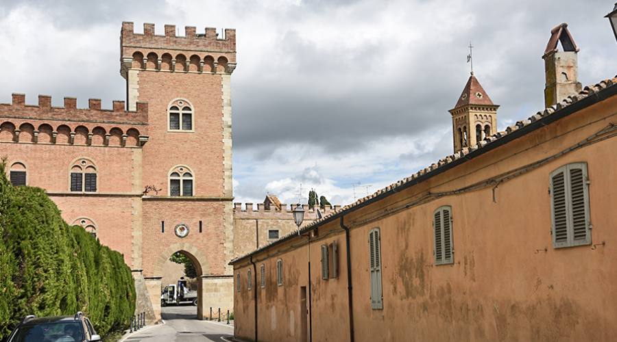 Bolgheri