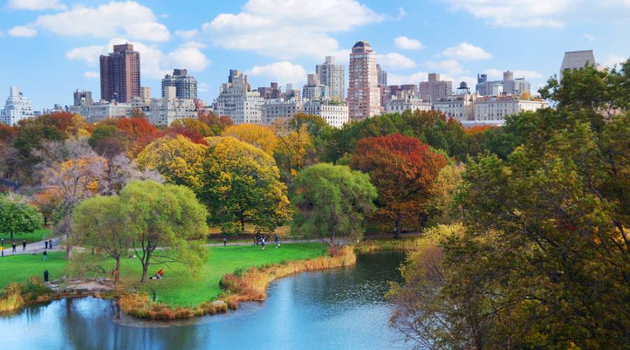 Central Park
