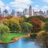Central Park