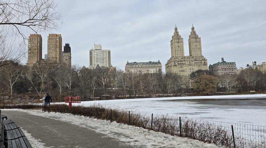 Central Park