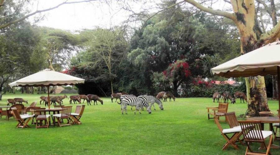 Lake Naivasha Country Club