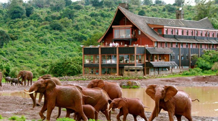The Ark Lodge