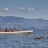 Boat Safari Naivasha