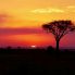 Tramonto al Masai Mara
