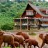 The Ark Lodge