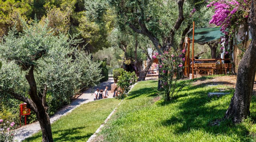 Il Villaggio