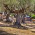 Il Villaggio
