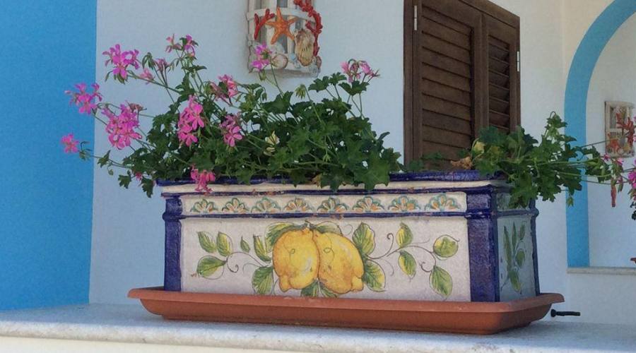 I colori mediterranei