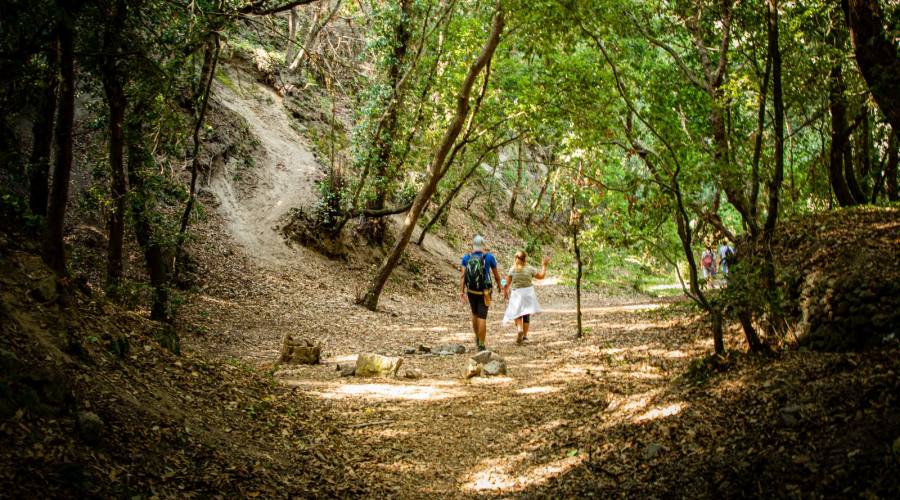 Trekking al Monte Panza Pelara