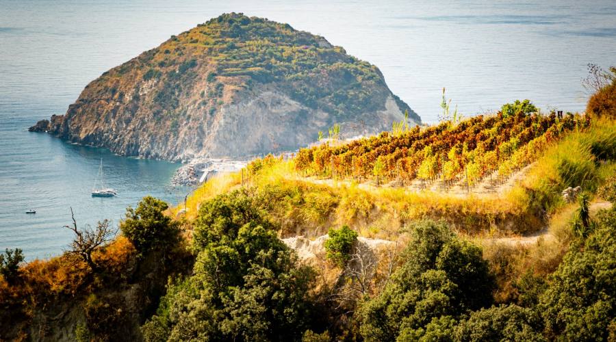 Serrara Fontana Andar per cantine e sentieri