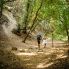 Trekking al Monte Panza Pelara