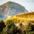 Serrara Fontana Andar per cantine e sentieri