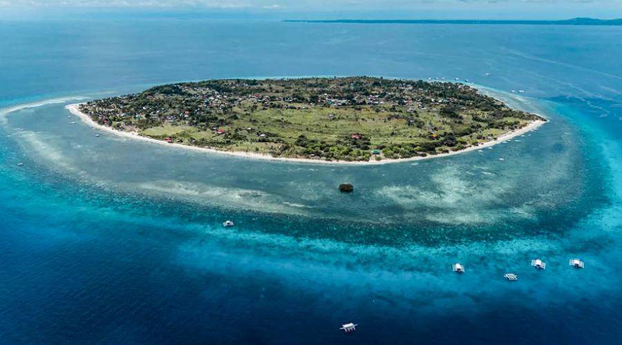 Pamilacan Island