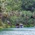 Crociera sul Fiume Loboc