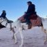 Wadi Rum