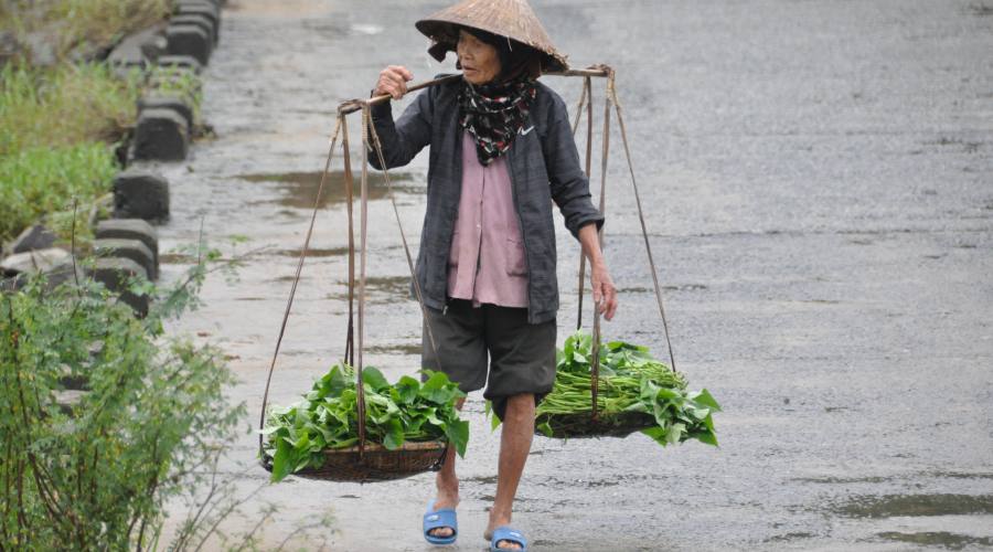 Vietnamita al mercato
