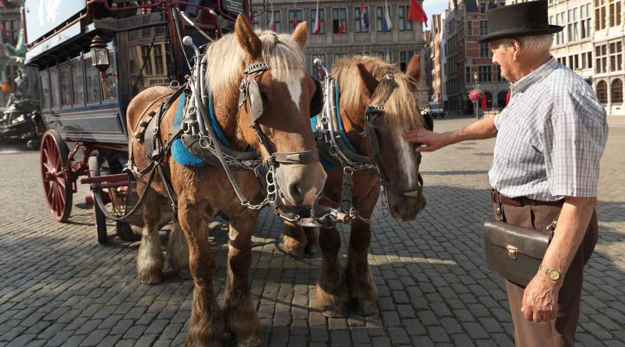 Anversa, carrozza per turisti