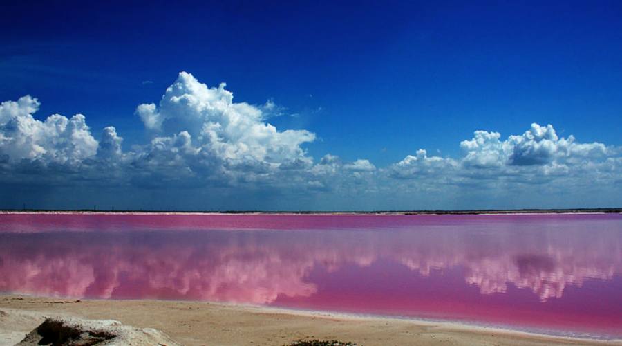 Escursioni: Laguna Rosadas (Yucatan)