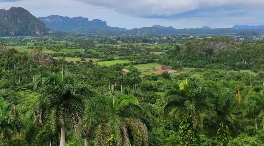 Vinales piantagioni di tabacco