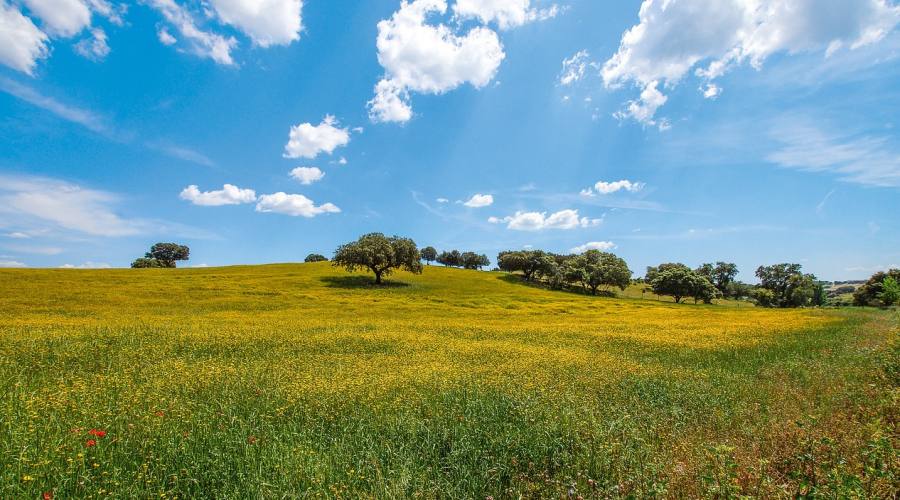 Alentejo, paesaggio rurale