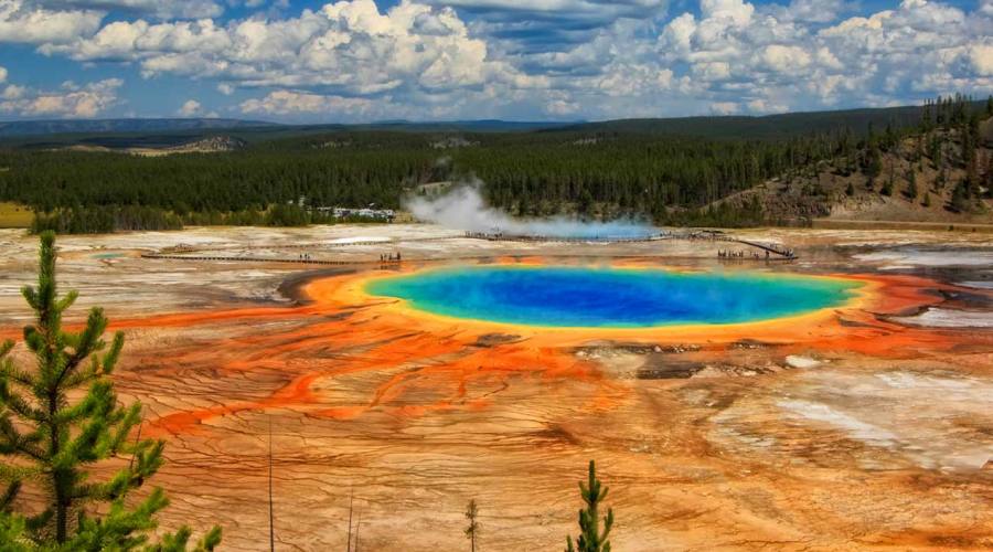 Yellowstone