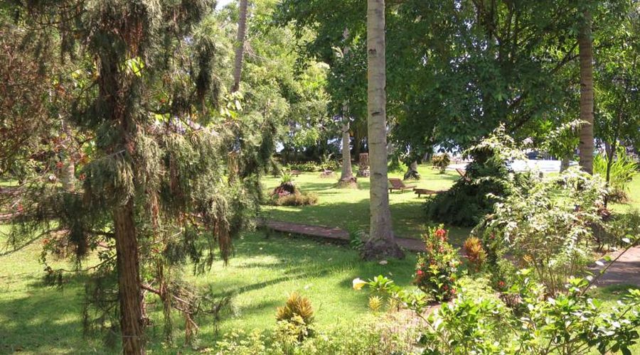 il giardino tropicale