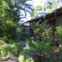 giardino tropicale