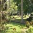 il giardino tropicale
