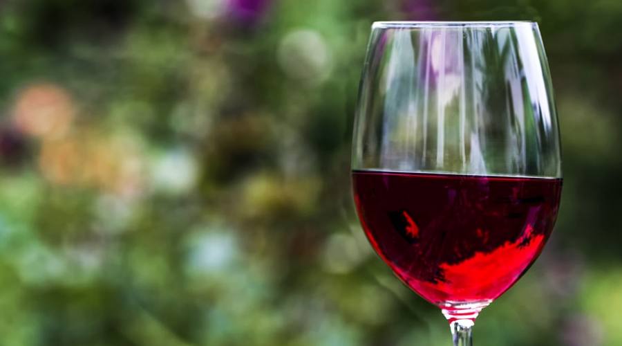 Degustazione Vini