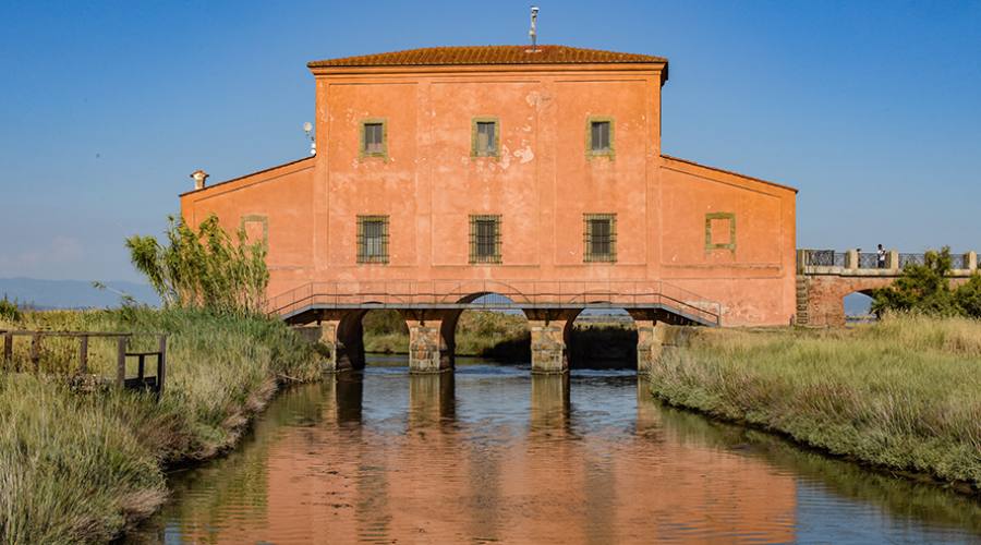 L'Oasi della Diaccia-Botrona