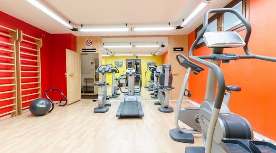 palestra
