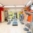 palestra