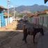 Trinidad, Cuba