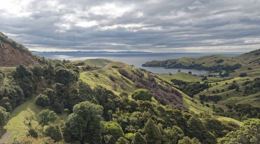 Coromandel