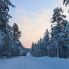 Foresta finlandese