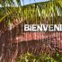 Bienvenido a Cayo Levisa