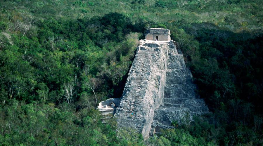 Cobá