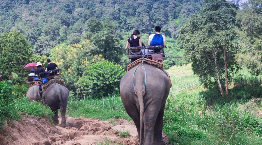 Trekking con gli elefanti