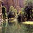 Wadi Shah, un'oasi in un canyon