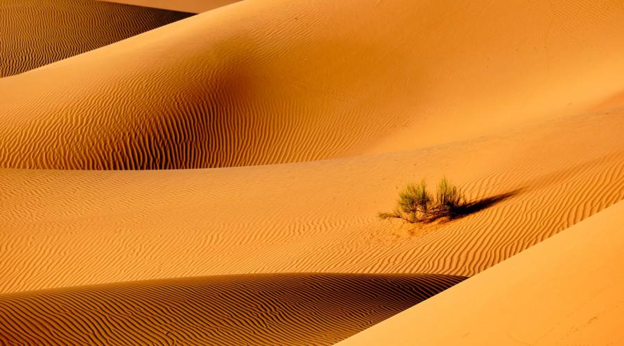 Deserto del Quarto Vuoto