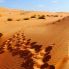 Il deserto di Wahida Sands